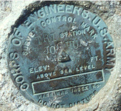 Joshua Tree Paperweight