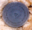 Humboldt Peak Pin