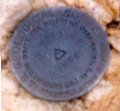 Humboldt Key Chain